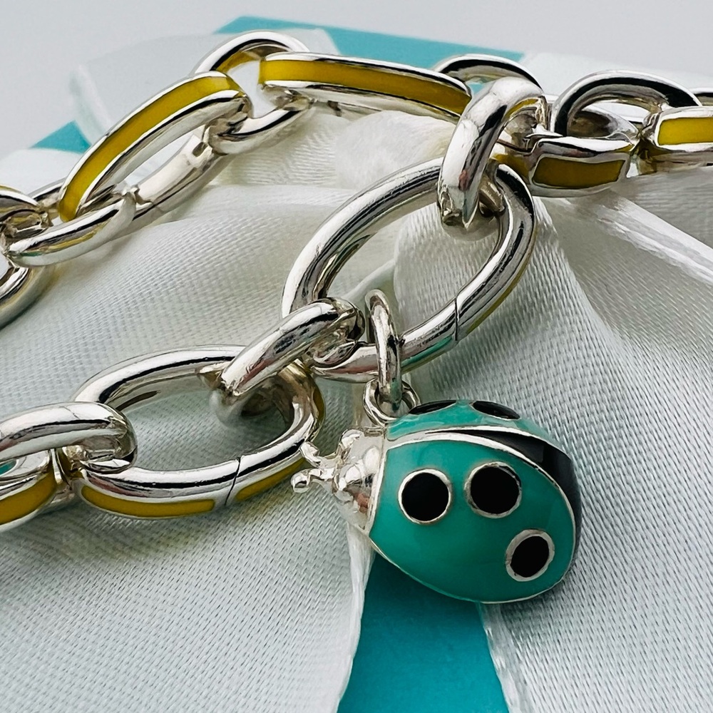 Tiffany Blue Enamel Ladybug Charm
